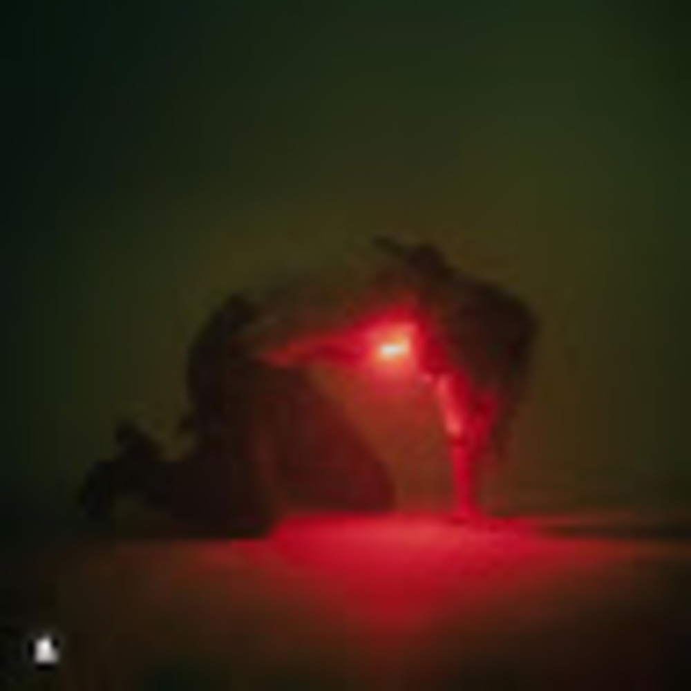 Meet your Posher, Evelyn